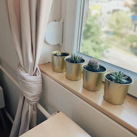 Apartment Cozy Trg Lazarevac